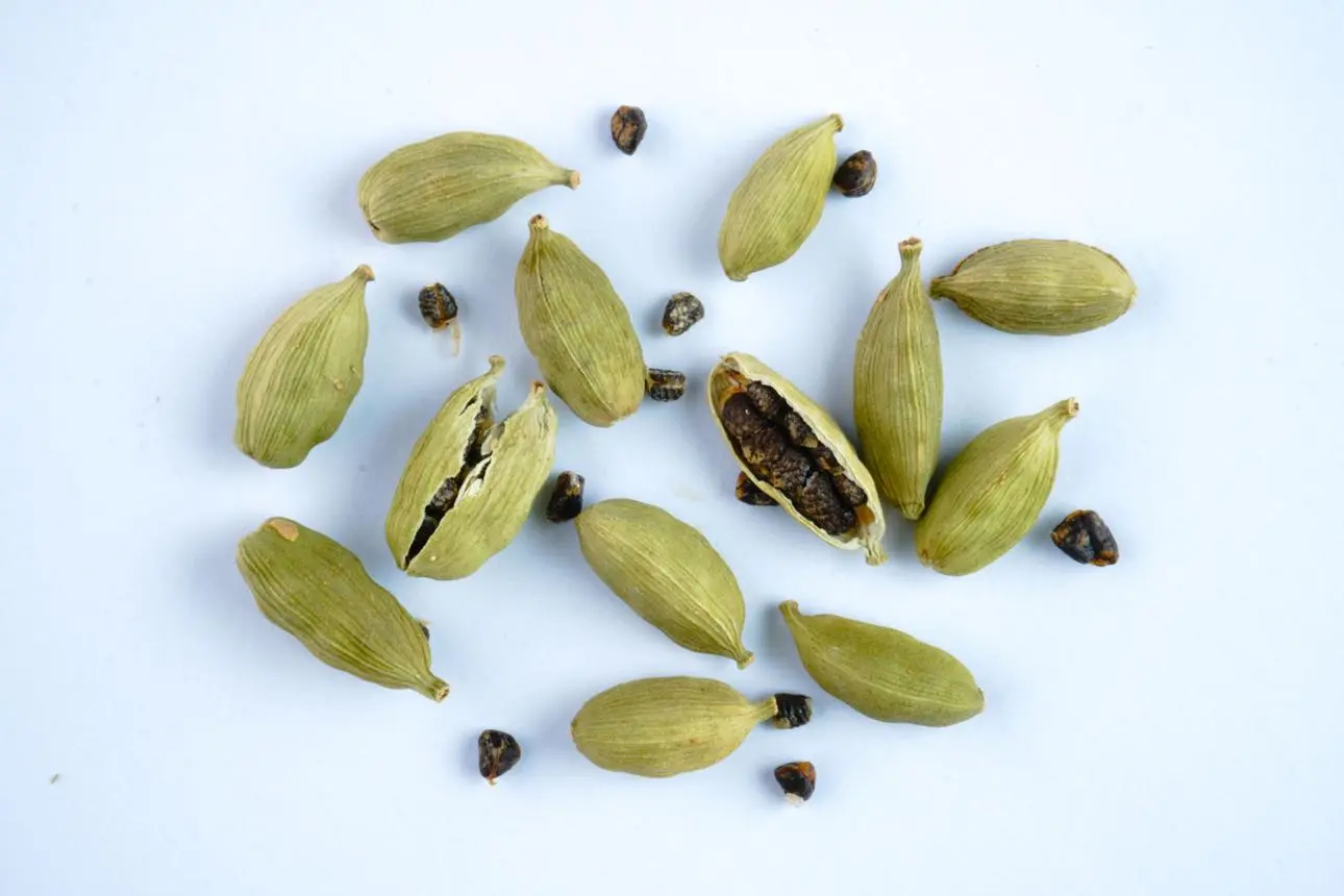 Cardamom